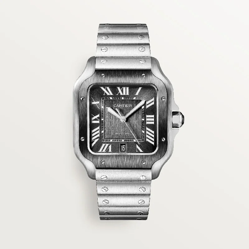 Cartier Santos De 39.8 mm WSSA0037 Gray Dial Steel